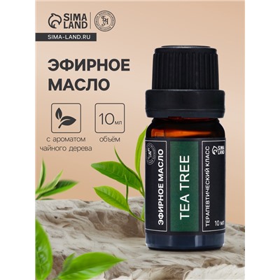 Эфирное масло «Чайное дерево», 10 мл, в тубусе