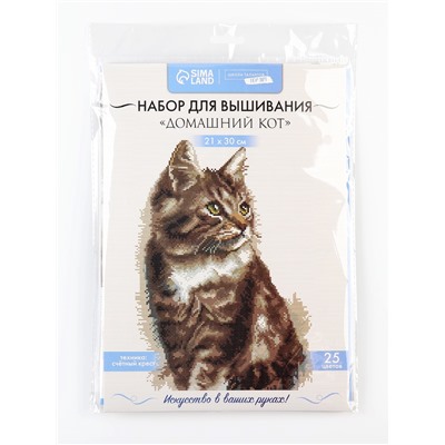 Вышивка крестиком «Домашний кот», набор для творчества, 21×30 см