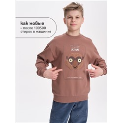 PELICAN Толстовка