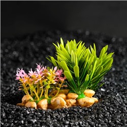 Растение искусственное аквариумное, на подставке под камень, 14×11×7 см