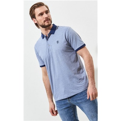 Футболка-поло F211-07-738 grey