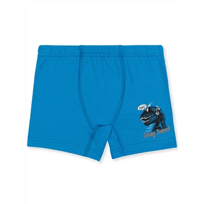 3568 Боксеры для мальчиков многоцвет (BAYKAR)