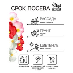 Семена цветов Бегония вечноцветущая "Сенатор F1", смесь, О, 10 шт