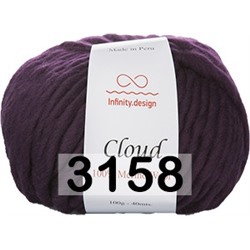 Пряжа Infinity Cloud