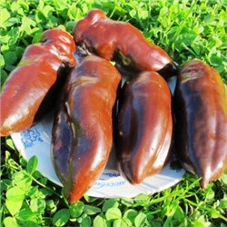 Перец Сладкий Шоколад — Sweet Chocolate Pepper  (10 семян)