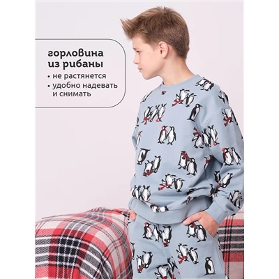 PELICAN Комплект BFANP3367U