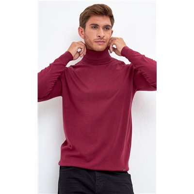 Водолазка мужская F121-01-868 бордовая