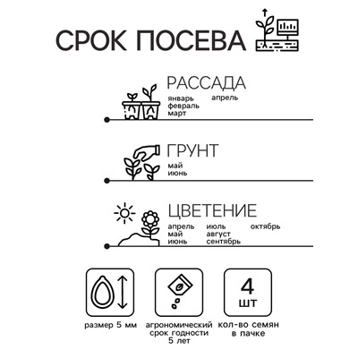 Семена цветов Пеларгония "Жаклин", красная с коричневым листом, F1, 4 шт