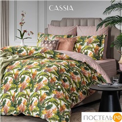 CASSIA БЕЛЕН КПБ 145х215-2/230х250-1/50х70-2/70х70-2, 7пр.,бамб/хл C