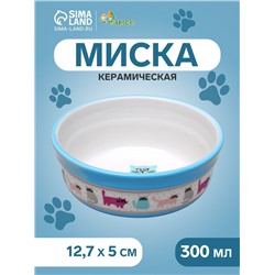 Миска керамическая «Кошачья жизнь» 300 мл 12.7×5 см, голубая