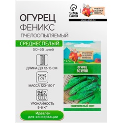 Семена Огурец "Феникс", 0,5 г