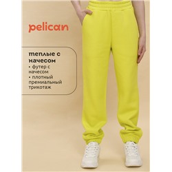471077 PELICAN Брюки