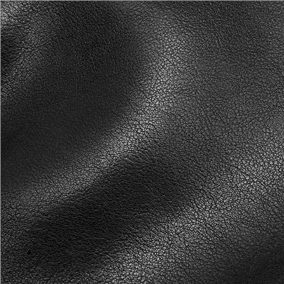 DOLAND LION  Сумка женская / кожа / 1636