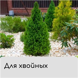 Чехол для укрытия растений, металлический каркас, 80×35 см, спанбонд с УФ-стабилизатором, плотность 60 г/м²