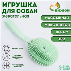 Игрушка массажная пищащая для собак "Фрукт",10,5 см, ТПР, микс цветов