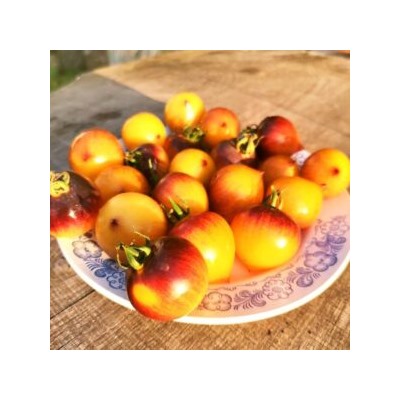 Помидоры Обворожительное Сердечко — Belle Coeur (H34 Gelb) Tomato (10 семян)
