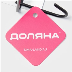 Держатель для кухонных принадлежностей настенный Доляна, 5 крючков, 28×8×8 см, чёрный