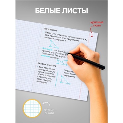Комплект тетрадей из 10 штук, 18 листов в клетку Calligrata "Еноты", обложка мелованный картон, ВД-лак, блок офсет, 5 видов по 2 штуки