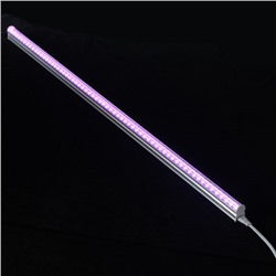 Фитосветильник для растений Luazon, светодиодный, 10 Вт, 600 мм, IP20, 220 В, мультиспектральный