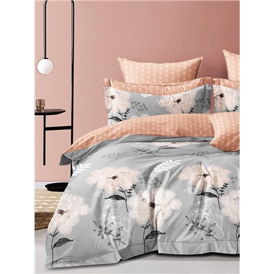 Текс-плюс КПБ Общий