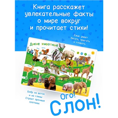 Говорящая книга «Мир вокруг малыша. Синий трактор», 26 стр.