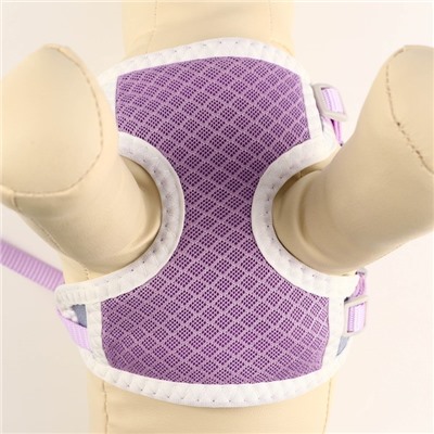 Комплект амуниции с мягкой шлейкой, S, поводок 120×1 см, ОШ 20-35 см, ОГ 20-35 см, сиреневый