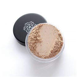 Консилер CN2