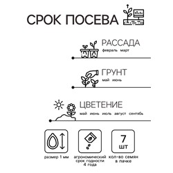 Семена  Петуния мини "Малыш" F1 многоцветковая,смесь окрасок, 7 шт