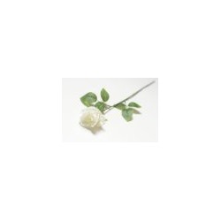 Ветка одиночная бутон розы.