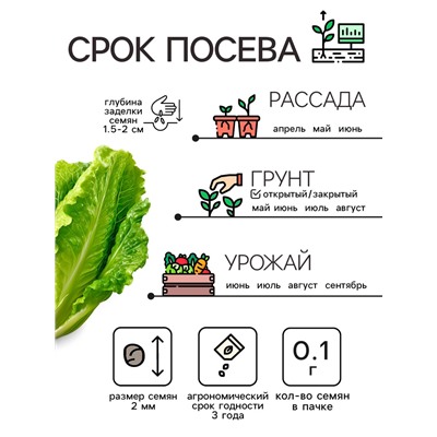 Семена Капуста пекинская "Неженка", 0,1 г