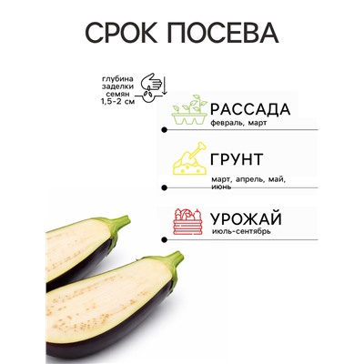 Семена Баклажан Лебединый Агроуспех 0,2г (300)