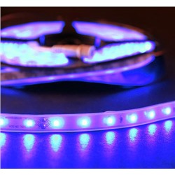 Лента светодиодная 5 м с ВТ SMD3528 220V 60LEDs  IP65/ ГОЛУБОЙ