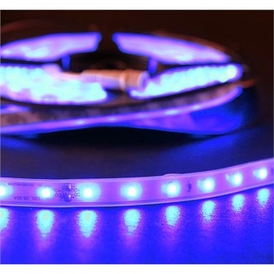 Лента светодиодная 5 м с ВТ SMD3528 220V 60LEDs  IP65/ ГОЛУБОЙ