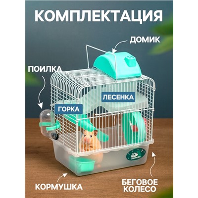 Клетка для грызунов «Пижон», 23×17×33 см, прозрачная, зелёное наполнение