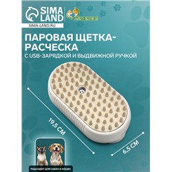 Паровая щетка-расческа для животных, с USB-зарядкой и выдвижной ручкой, белая
