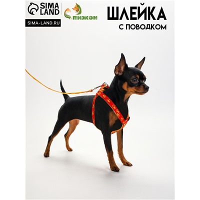 Комплект «Большая лапа», ширина 1.5 см, поводок 120 см, шлейка 28-42 см, оранжево-жёлтый