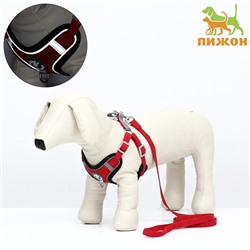 Комплект Sport+, М, поводок 120 x 1,5 см, ОШ 44-48 см, ОГ 51-60 см, вес животного 14-20 кг, красный