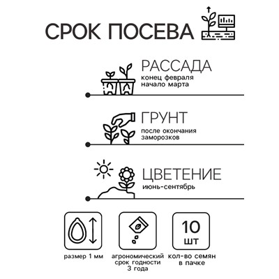 Семена цветов Катарантус Пацифика "Дип Орхид" 10 шт