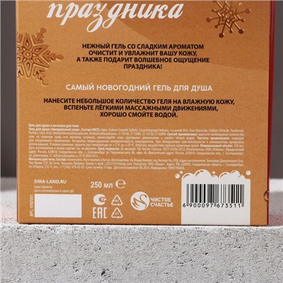 Новогодний подарочный набор косметики «Сияй», гель для душа 250 мл и мочалка для тела, Чистое счастье