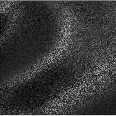 DOLAND LION  Сумка женская / кожа /  1635