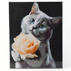 Алмазная вышивка полное заполнение «Котенок с розой», на раме, 40×50 см