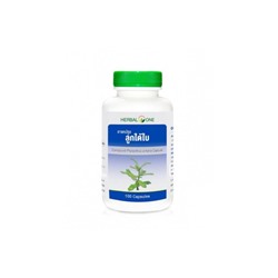 Капсулы Филлантус мочегонный Herbal One 100 капсул