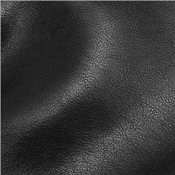 DOLAND LION  Сумка женская / кожа / 1636