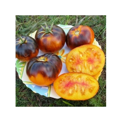 Помидоры Настоящая Драгоценность — Lucid Gem Tomato (10 семян)