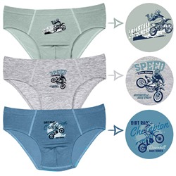 3377 Трусы для мальчика многоцвет (BAYKAR)