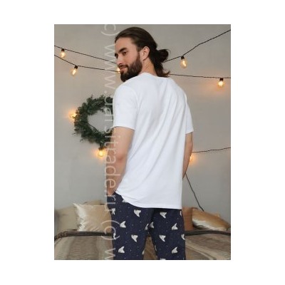 Футболка мужская №3715M-20185 Umka Almando Melado Дроп