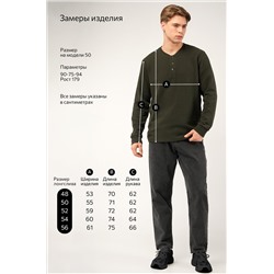 Мужской лонгслив на пуговицах Happyfox