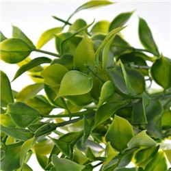 Зелень искусственная 33 см / WH-20 /уп 2/200/600/