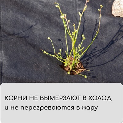 Материал мульчирующий, 5×0.8 м, плотность 80 г/м², с УФ-стабилизатором, чёрный, Greengo, Эконом 30%