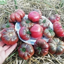 Помидоры Purple Calabash — Папл Калабаш (10 семян)